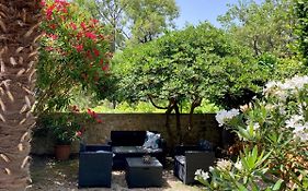 Studio Apartman Palma